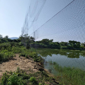 戶外果園防鳥網尼龍網抓傷養殖網爬藤網果園葡萄枸杞櫻桃魚塘防護網