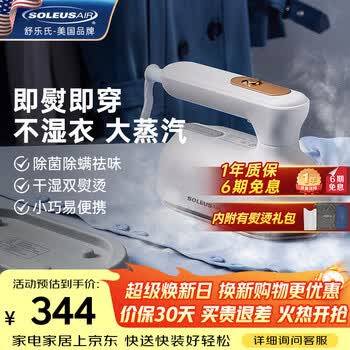 SOLEUSAIR舒乐氏手持挂烫机15g/min顺喷蒸汽量100毫升水箱家用蒸汽机电熨斗便携手持烫衣机 GT2
