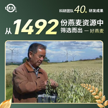 世壮燕麦保健片300g*4 中国农科院燕麦片即食纯麦片年货早餐冲饮谷物