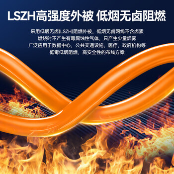 山泽七类双屏蔽网线 【0.57±0.008mm纯铜芯】低烟无卤CAT7类抗干扰 工程家装网络布线305米 SFTP-7300 山泽七类双屏蔽网线 【0.57±0.008mm纯铜芯】低烟无卤CAT7类抗干扰 工程家装网络布线305米 SFTP-7300