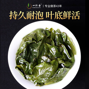 一杯香茶叶乌龙茶铁观音安溪特级清香型250g礼盒装送礼自己喝散装茗茶