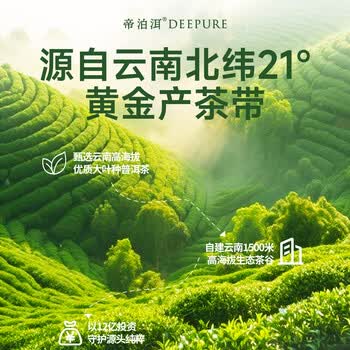 帝泊洱茉莉普洱茶珍 云南大叶种普洱茶叶 0.5g*10支速溶茶粉包冲饮 盒装