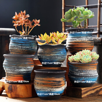 植物盆栽艺术品牌及商品- 京东