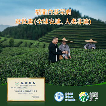 品品香白茶 福鼎白茶晒白金老白茶2022年白牡丹360g茶叶礼盒送礼