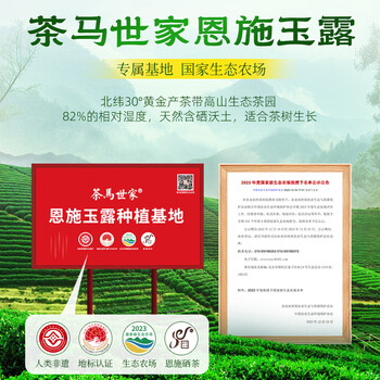 恩施玉露绿茶茶叶礼盒180g明前新茶湖北特产恩施硒茶礼盒年货节送礼品