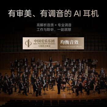 科大讯飞AI会议录音耳机 智能降噪蓝牙无线耳机 Pro 3钛金 会议纪要 录音翻译 录音耳机 适配苹果华为 科大讯飞AI会议录音耳机 智能降噪蓝牙无线耳机 Pro 3钛金 会议纪要 录音翻译 录音耳机 适配苹果华为