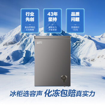 容声（Ronshen）145L单温冰柜小型家用减霜冷柜-35℃冷冻冷藏柜一级能效卧式冰箱BD/BC-145ZMSA