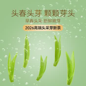 贡苑2026新茶 头采芽峨眉山雀舌特级120g 明前绿茶茶叶独立包装自己喝