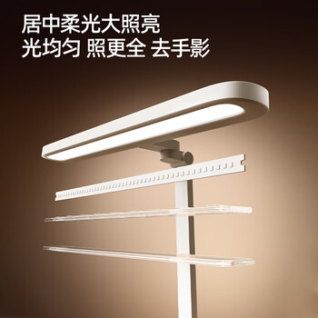 猫太子黄金12°国AA护眼灯坐姿矫正器儿童矫正神器写字姿势纠正器小学生写作业防近视低头桌面阅读支架