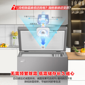 容声（Ronshen）200L单温家用冰柜小型冷柜减霜80%一级能效深冷-35℃冷藏冷冻两用BD/BC-200ZMSA