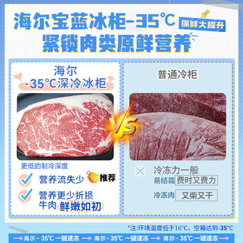 海尔（Haier）宝蓝100升单温冰柜家用小型零下-35度超低温无需频繁除霜全冷冻/冷藏冰箱BC/BD-100GHPCJZ