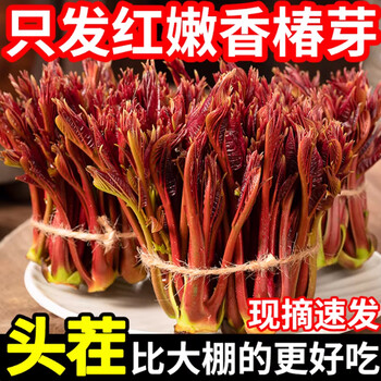 红油香椿品牌及商品- 京东