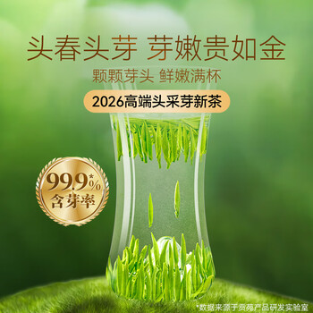 贡苑2026新茶 头采芽峨眉山雀舌特级120g 明前绿茶茶叶独立包装自己喝