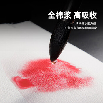 鲁本斯（PaulRubens）高吸收水彩纸全棉浆加厚8k细纹300g学院级素描纸美术水粉颜料图画纸本10张/包