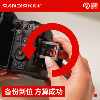 闪迪（SanDisk）512GB CFexpress Type B存储卡 微单高速影像 内存卡 读速1700MB/s 写速1400MB/s 兼容部分XQD相机
