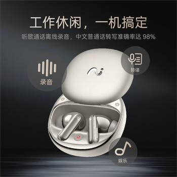 科大讯飞AI会议录音耳机 智能降噪蓝牙无线耳机 Pro 3钛金 会议纪要 录音翻译 录音耳机 适配苹果华为 科大讯飞AI会议录音耳机 智能降噪蓝牙无线耳机 Pro 3钛金 会议纪要 录音翻译 录音耳机 适配苹果华为