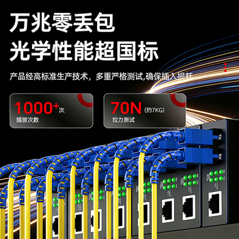 山泽光纤跳线 SC-SC工程级单模单芯【3.0mm粗径抗弯耐损】UPC尾纤 阻燃低烟无卤光纤网线 3米G0-SCSC03