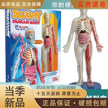 人体模型小 人体骨骼模型全身骨架人体模型成人小骷髅教学模型脊椎模型【价格图片