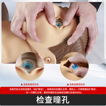继科心肺复苏模拟人 急救训练假人体模型 训练教学模型 半身精简+蜂鸣音 KS/CPR610H【送电源适配器】