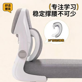 卓博电脑椅家用学习椅升降椅座椅靠背椅子BT22灰色四腿升降带腰靠