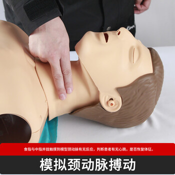 继科心肺复苏模拟人 急救训练假人体模型 训练教学模型 半身精简+蜂鸣音 KS/CPR610H【送电源适配器】