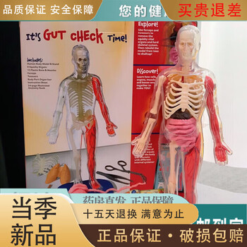 人体模型 完整两性人体肌肉模型，带内部器官，33部分| 1019231 | B55 | B55#01
