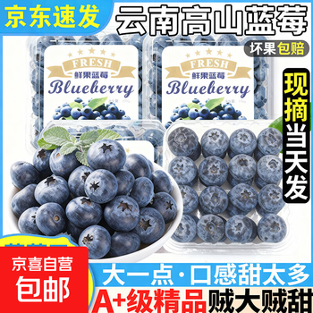 蓝莓一箱价格报价行情- 京东