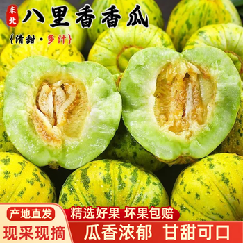中国香瓜 5kg - メルカリ