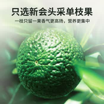 传奇会茶叶 普洱茶熟茶 新会小青柑生晒陈皮普洱柑普茶罐装250g礼盒装