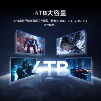 宏碁掠夺者（PREDATOR）512GB SSD固态硬盘 M.2接口(NVMe协议) GM6系列｜NVMe PCIe 4.0读速6300MB/s AI电脑存储配件