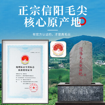 保银信阳毛尖2026新绿春茶明前特级嫩芽260g瓷罐礼盒装节日送礼长辈