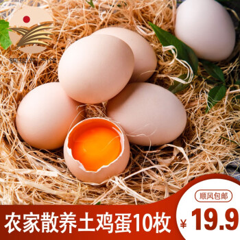 童仙子农家散养土鸡蛋现捡新鲜谷物虫草蛋乌鸡蛋 顺丰 10枚装（顺丰） 10枚 45g