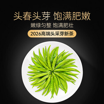 贡苑2026新茶 头采芽峨眉山雀舌特级120g 明前绿茶茶叶独立包装自己喝