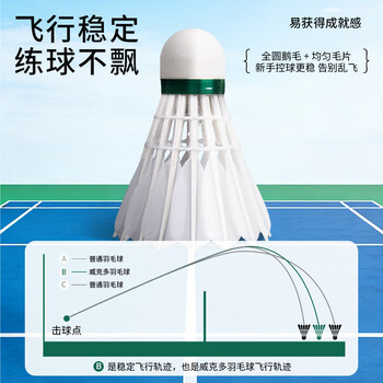 威克多（VICTOR）胜利羽毛球比赛训练稳定耐打云雀5LARK 5鹅毛12只装77速 京仓速发