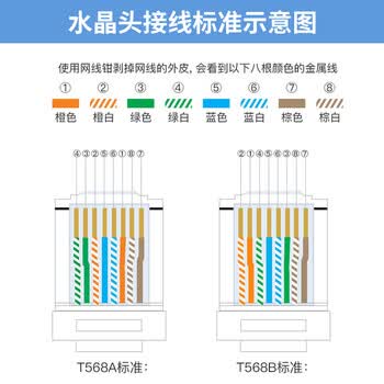 秋叶原（CHOSEAL）六类水晶头 镀金RJ45工程类千兆水晶头 8P8C电脑网络线接头10个 QS906Z10