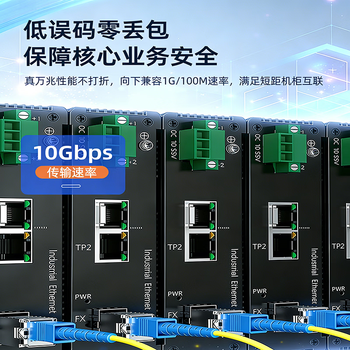 山泽 光纤跳线 LC-LC工程电信级单模双芯3.0线径UPC光纤尾纤 阻燃低烟无卤 机房光纤线 10米G1-LCLC10