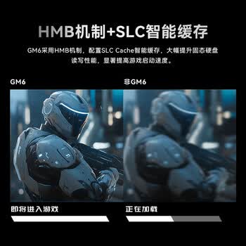 宏碁掠夺者（PREDATOR）512GB SSD固态硬盘 M.2接口(NVMe协议) GM6系列｜NVMe PCIe 4.0读速6300MB/s AI电脑存储配件