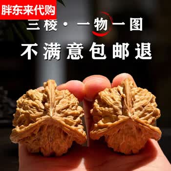 公子帽42价格报价行情- 京东