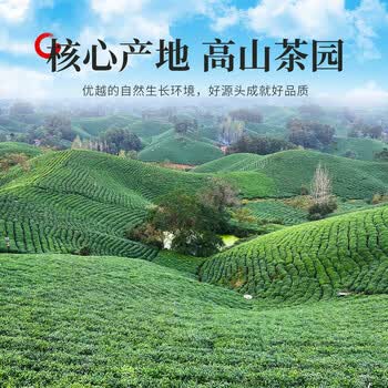 保银信阳毛尖2026新绿春茶明前特级嫩芽260g瓷罐礼盒装节日送礼长辈