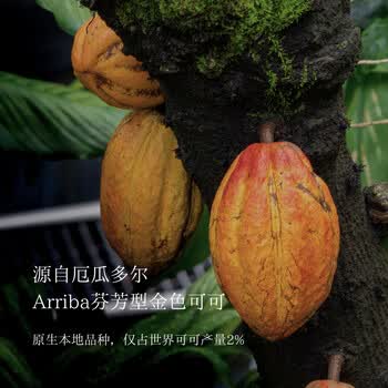 SOILETA生可可粉150g天然未碱化纯可可粉烘焙咖啡牛奶冲饮伴侣Cacao