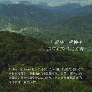 SOILETA生可可粉150g天然未碱化纯可可粉烘焙咖啡牛奶冲饮伴侣Cacao