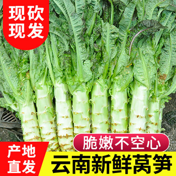 莴笋价格报价行情- 京东
