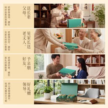 创帝茶叶礼盒特级2026新茶小罐碧螺春送爸爸父亲老丈人父母领导150g
