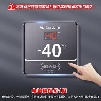 容声200L单温家用冰柜-40℃深冷速冻电脑精控每1度冰箱减霜节能冷柜BD/BC-200ZMSYB