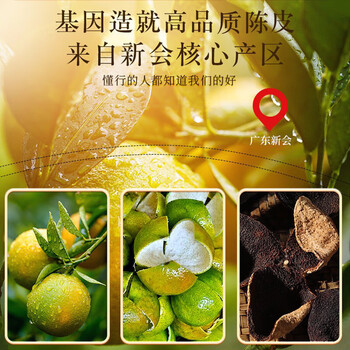 同仁堂（TRT）陈皮正宗新会原产二十大红皮陈皮节日礼盒送礼送长辈父母礼物250g