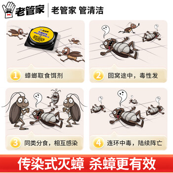 老管家蟑螂药6枚*2特效强力全窝端虫卵双杀蟑螂屋杀蟑胶饵