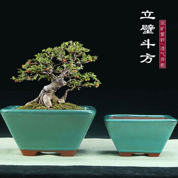 四方大紫砂花盆- 京东