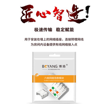 博扬（BOYANG）六类网络模块 工程级打线式信息模块 (50μ镀金)CAT6网线RJ45连接头 BY-RJ45-MK6E