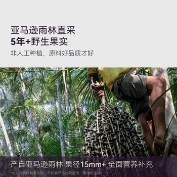 OH MyFood巴西莓粉80g阿萨伊粉天然花青素早餐冲饮固体饮料纤维代餐粉