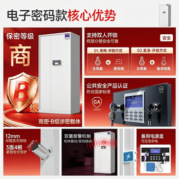 中伟（ZHONGWEI）保密柜文件柜铁皮办公档案柜员工资料柜钢制柜电子锁通门带抽